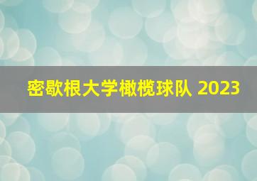 密歇根大学橄榄球队 2023